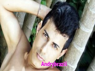 Andrybrazil