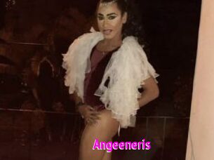 Angeeneris