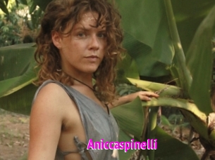 Aniccaspinelli