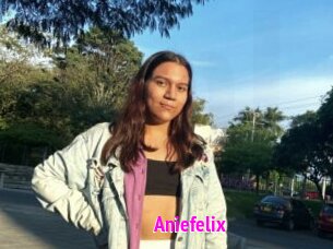 Aniefelix
