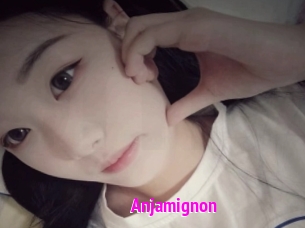 Anjamignon