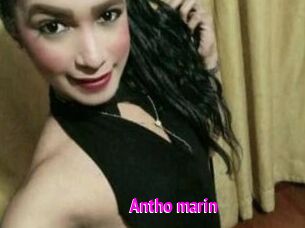 Antho_marin