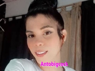 Antobigcock