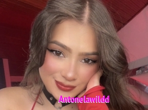 Antonelawildd