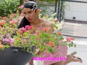 Antonellabarbie