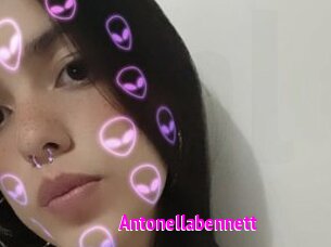 antonellabennett Porn Loverz