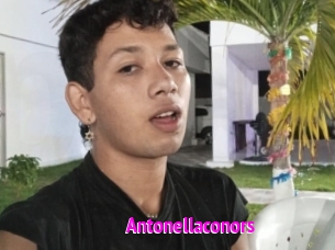 antonellaconors Porn Loverz