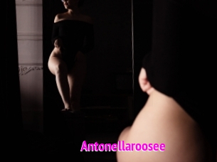 Antonellaroosee