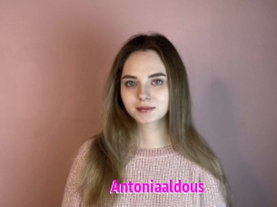 Antoniaaldous