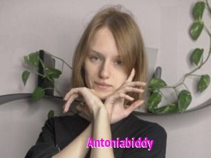Antoniabiddy