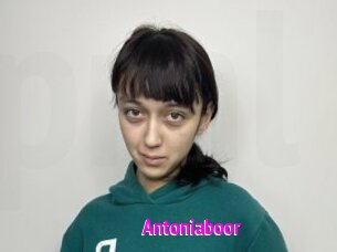 Antoniaboor