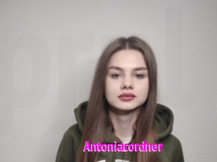 Antoniacordner
