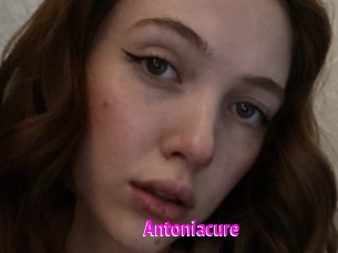Antoniacure