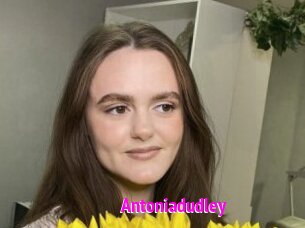 Antoniadudley