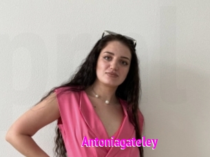 Antoniagateley