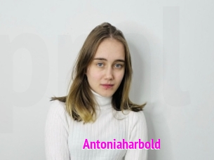 Antoniaharbold