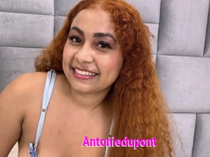 Antoniedupont