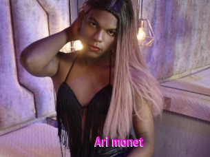 Ari_monet