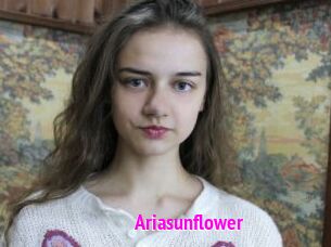 Ariasunflower