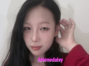 Arlenedaisy