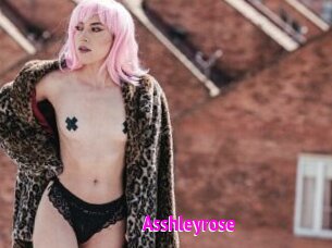 Asshleyrose