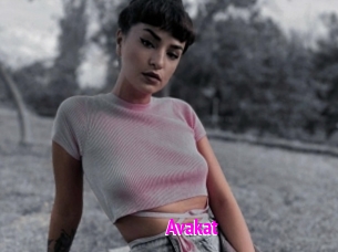 Avakat