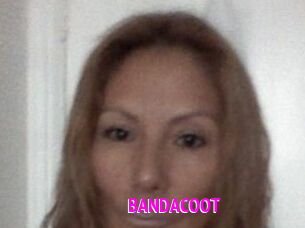 BANDACOOT