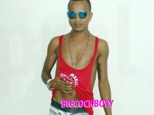 BIGCOCKBOYY