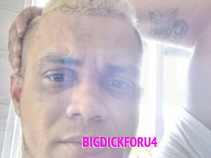 BIGDICKFORU4
