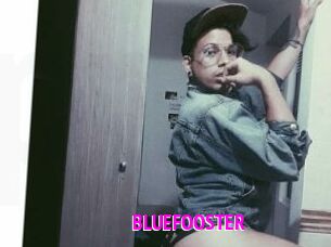 BLUEFOOSTER