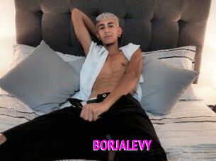 BORJALEVY
