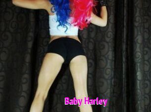 Baby_Harley