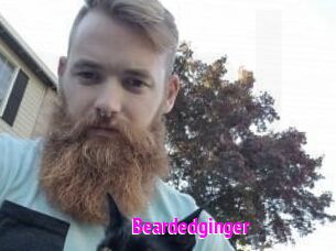 Beardedginger