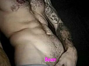 Bearr