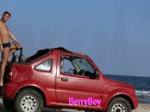 BerryBoy