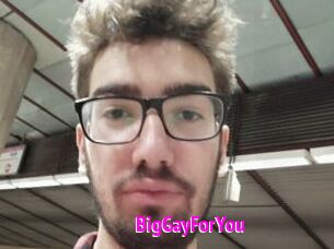 BigGayForYou