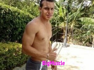 Big_Muscle