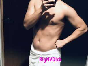 BigNVDick