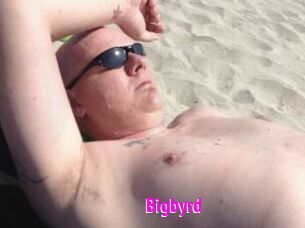 Bigbyrd