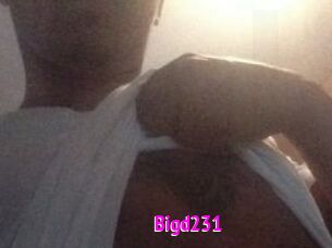 Bigd231 Porn Loverz