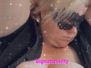 Bigmaturekitty