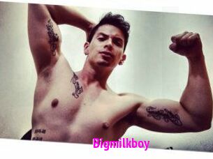 Bigmilkboy