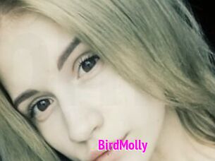 BirdMolly
