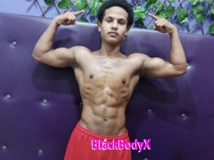 BlackBodyX