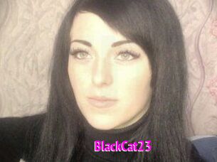 BlackCat23
