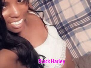 Black_Harley