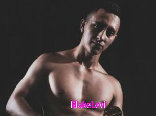 BlakeLevi Porn Loverz