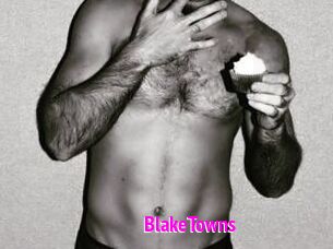 BlakeTowns