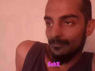 BobX