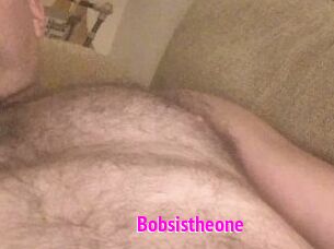 Bobsistheone